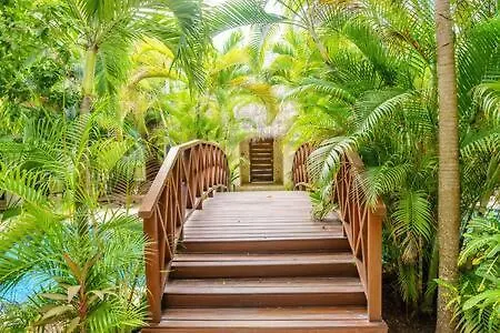 Private Terraces Natural Space I Pool Plus Bikes Onsite Tulum Mexico