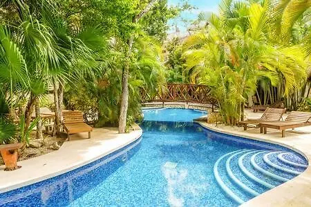 Private Terraces Natural Space I Pool Plus Bikes Onsite トゥルム 別荘